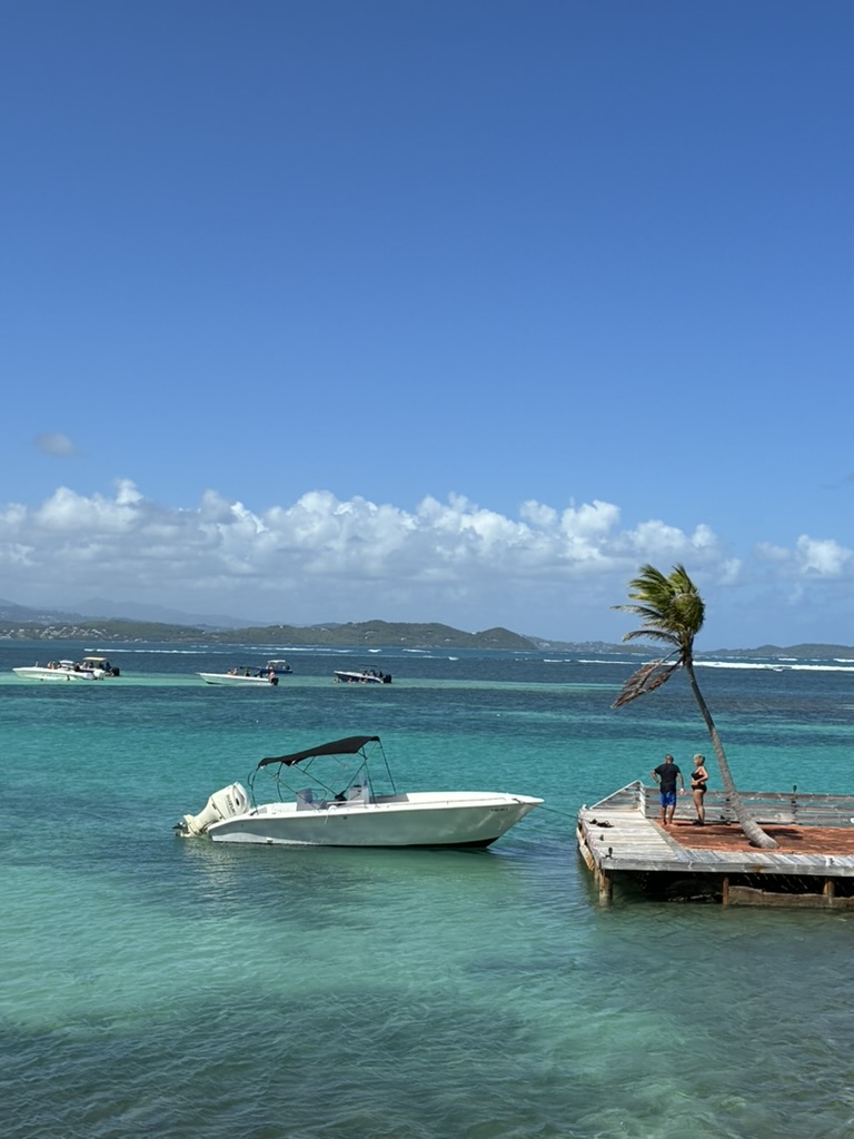 Bateau amarré au ponton près d'un palmier